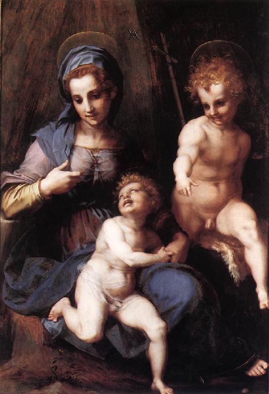 Andrea del Sarto Madonna and Child with the Young St John France oil painting art